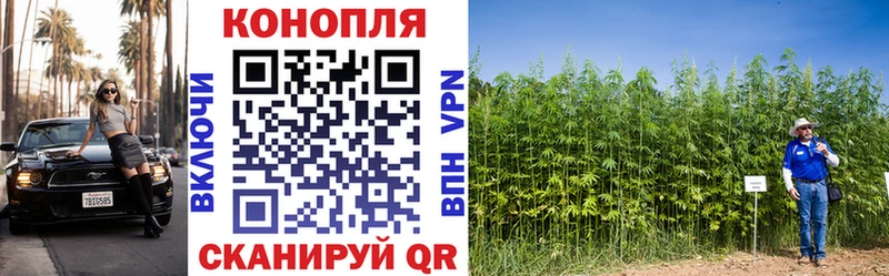 Шишки марихуана MAZAR  Горняк 